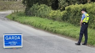 Gardaí at the scene in Tallanstown, Co Louth